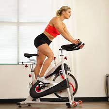 Sunny Health & Fitness Premium Indoor Cycling Exercise Bike