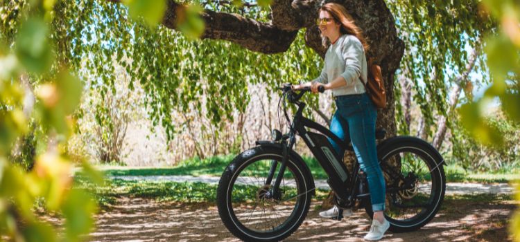 Top 10 Best Folding Electric Bikes Under 1000 Dollars