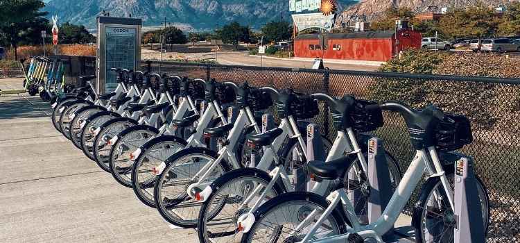 bike rack weight limit