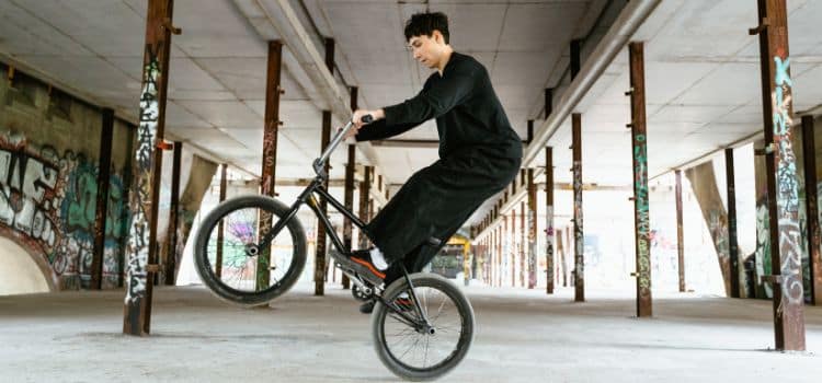 Top 5 Best BMX Bikes for Adults-Reviews
