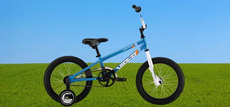 Mini Viper Pro 24 Bike