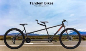 tandem bike